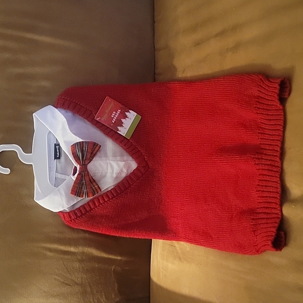 Doggie outfit. Christmas